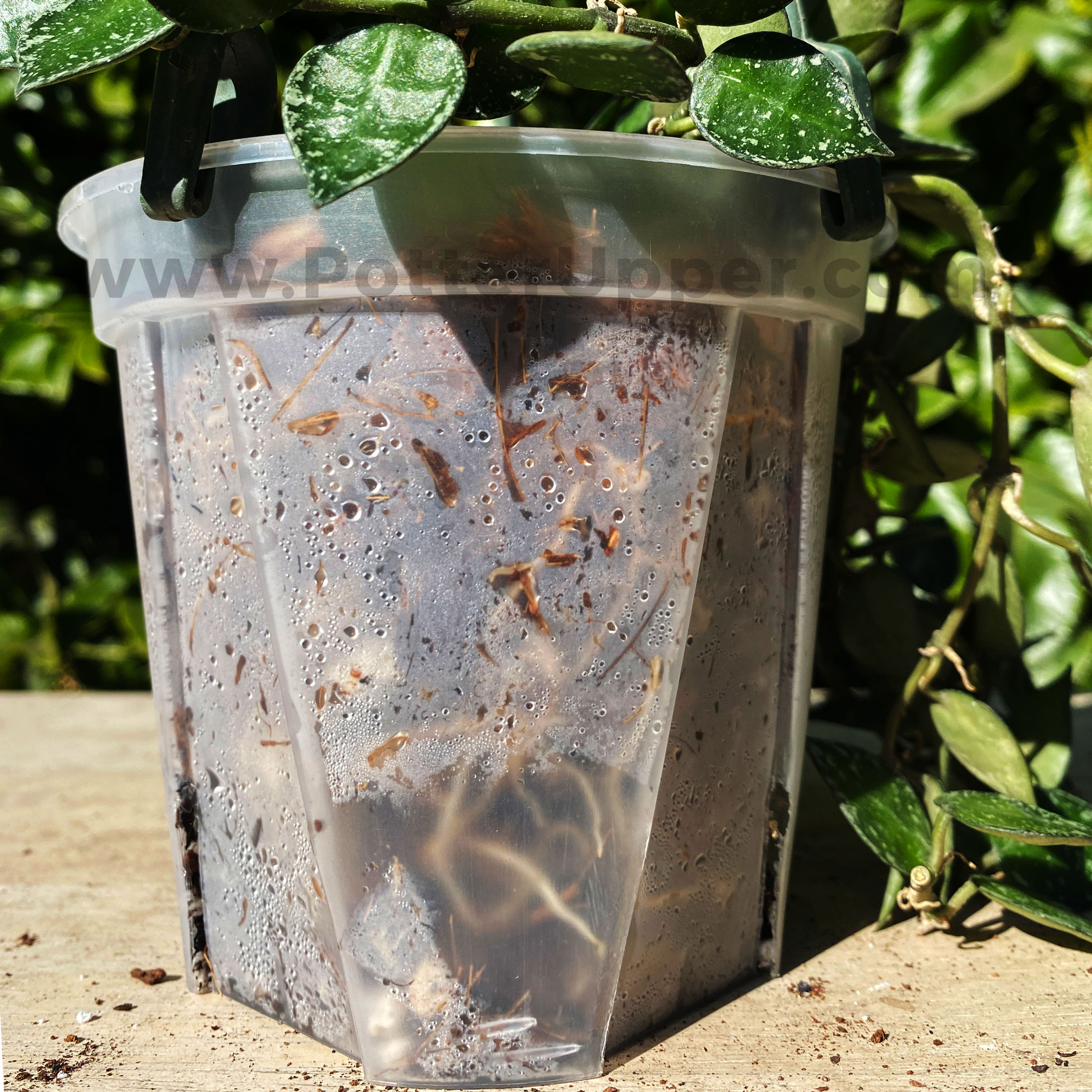 8″ Clear Transparent Pots, with Side Vents, AntiSpiral Pots for Plants