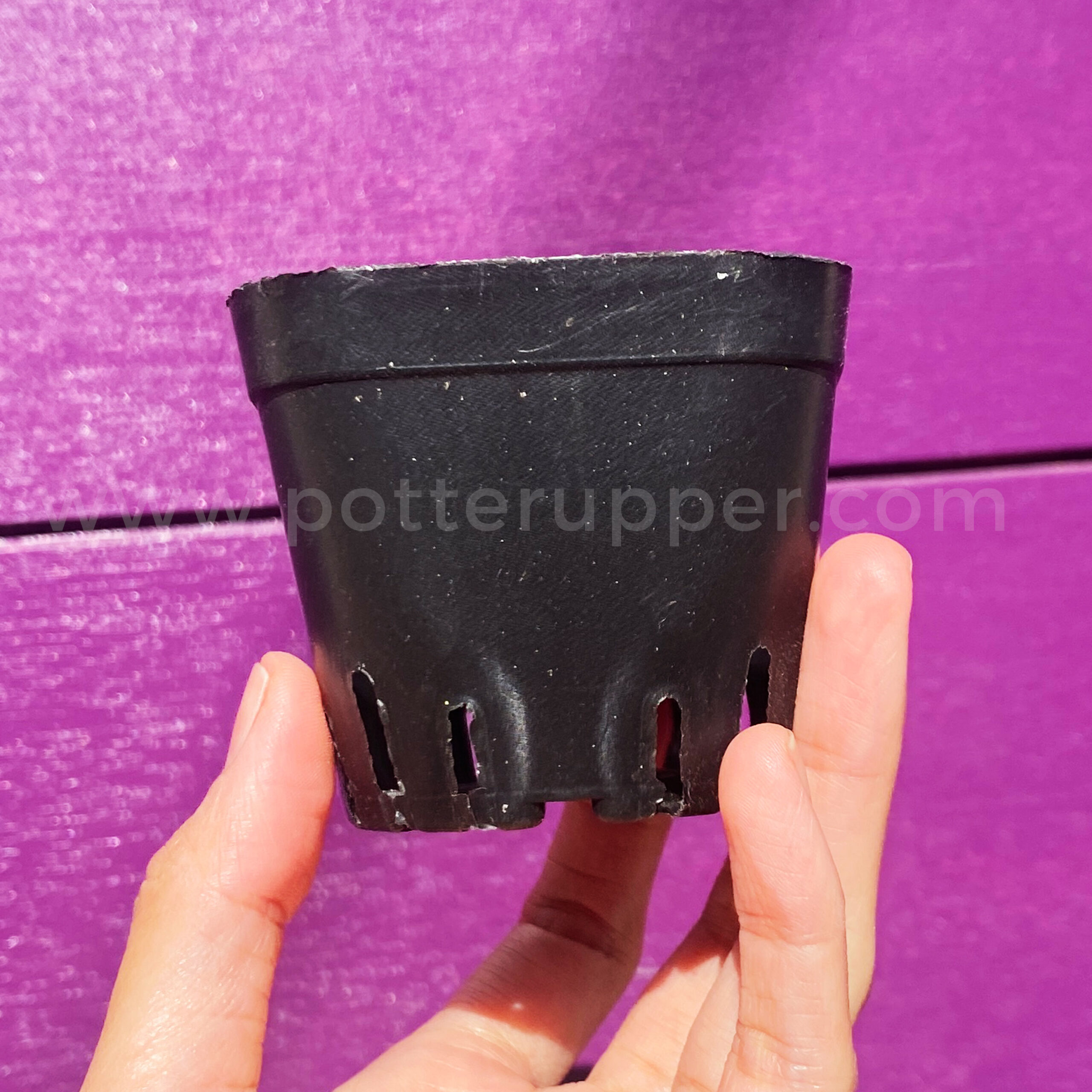 pack of 100, 2.7″ Seedling Nursery Pots, Black, Square, Propagation